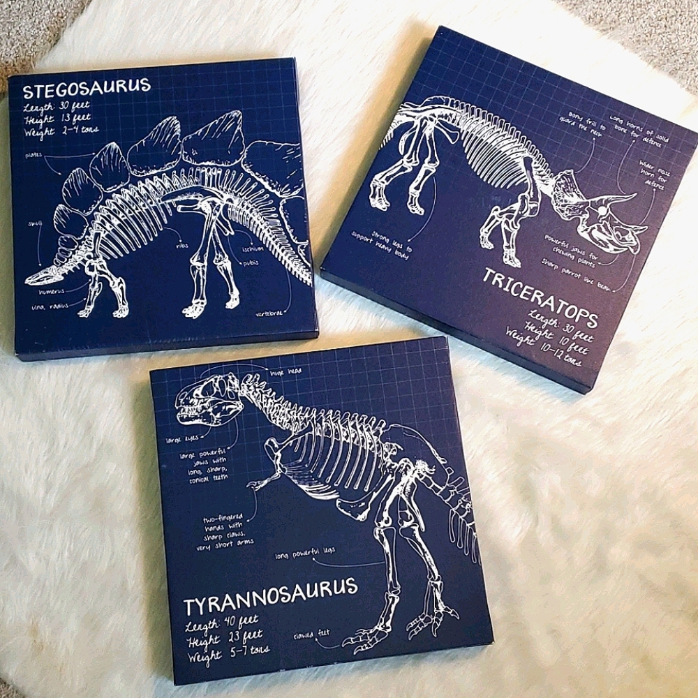 Like New! Canvas Dino Wall Art.